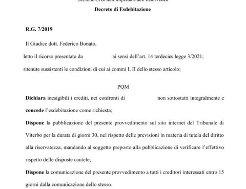 Decreto di esdebitazione anonimizzato – esdebitazione dal Tribunale di Viterbo